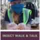 Insect Walk & Talk